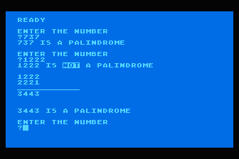 Numeric Palindrome — screenshot 1