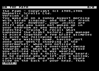 Pawn (The) — screenshot 1