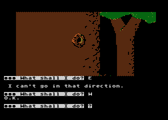 SAGA No. 13 - The Sorcerer of Claymorgue Castle atari screenshot