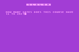 Slalom — screenshot 1