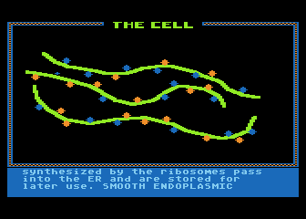 Cell (The) — screenshot 2
