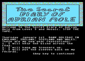 Secret Diary of Adrian Mole (The) atari screenshot