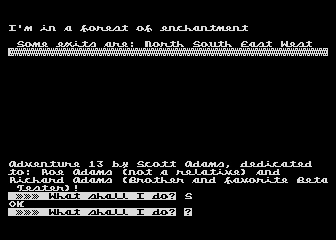 Adventure No. 13 - The Sorcerer of Claymorgue Castle — screenshot 1