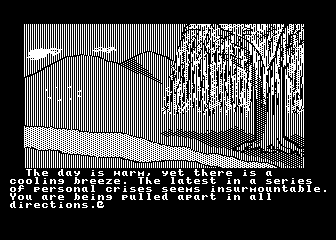 Ultima IV atari screenshot