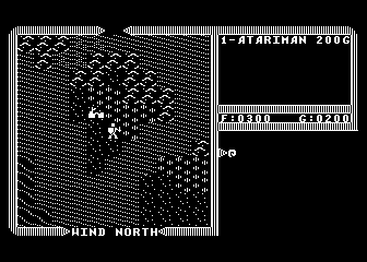 Ultima IV — screenshot 8