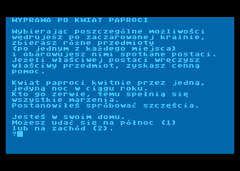 Wyprawa po Kwiat Paproci — screenshot 1