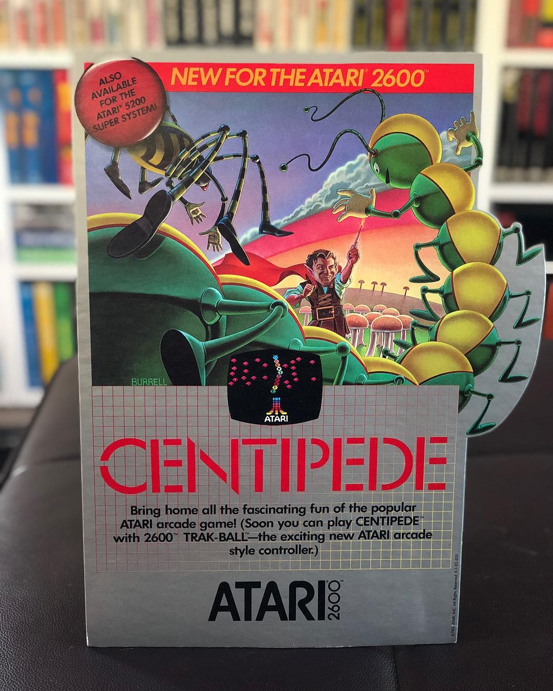 Centipede