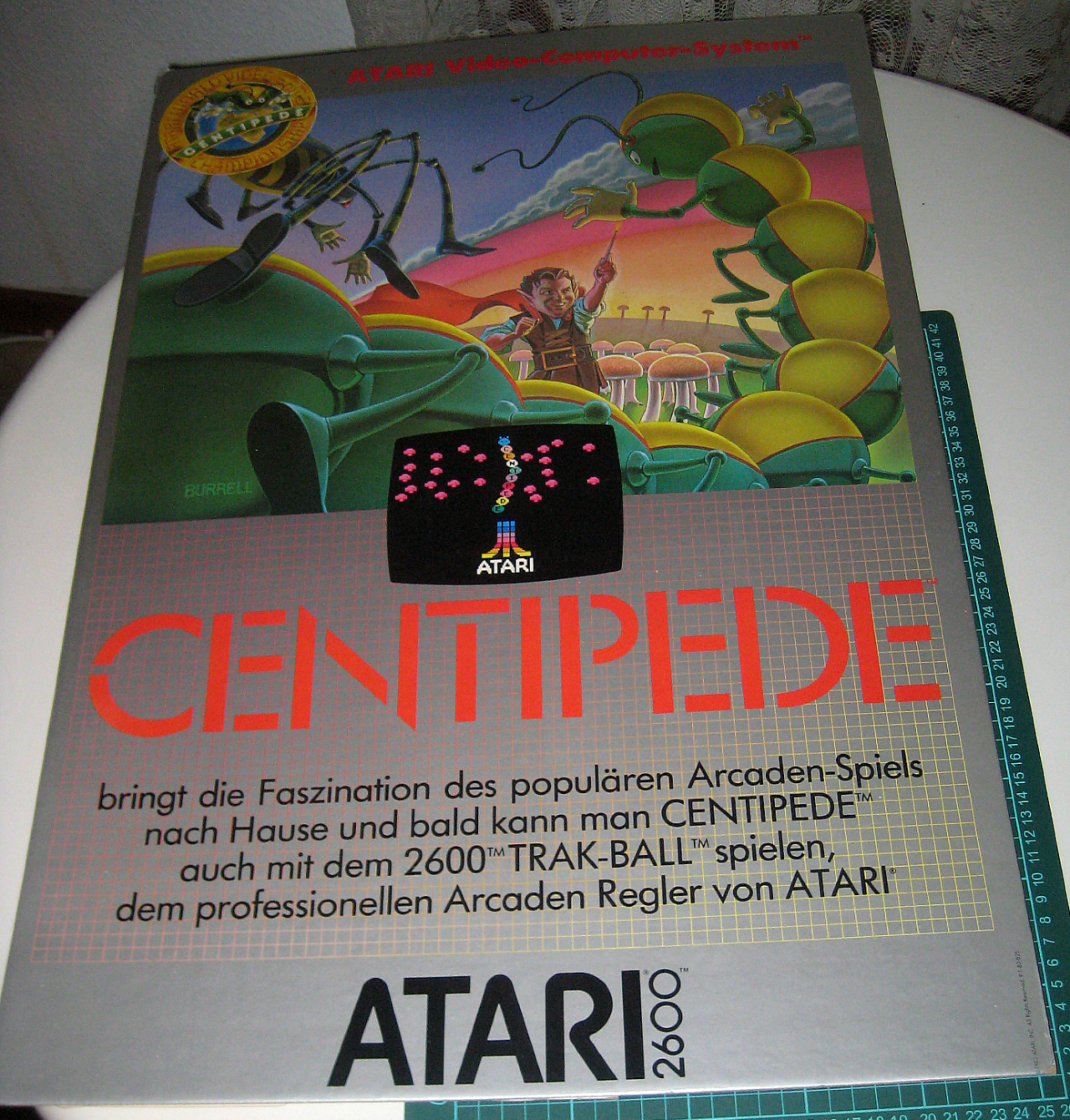 Centipede