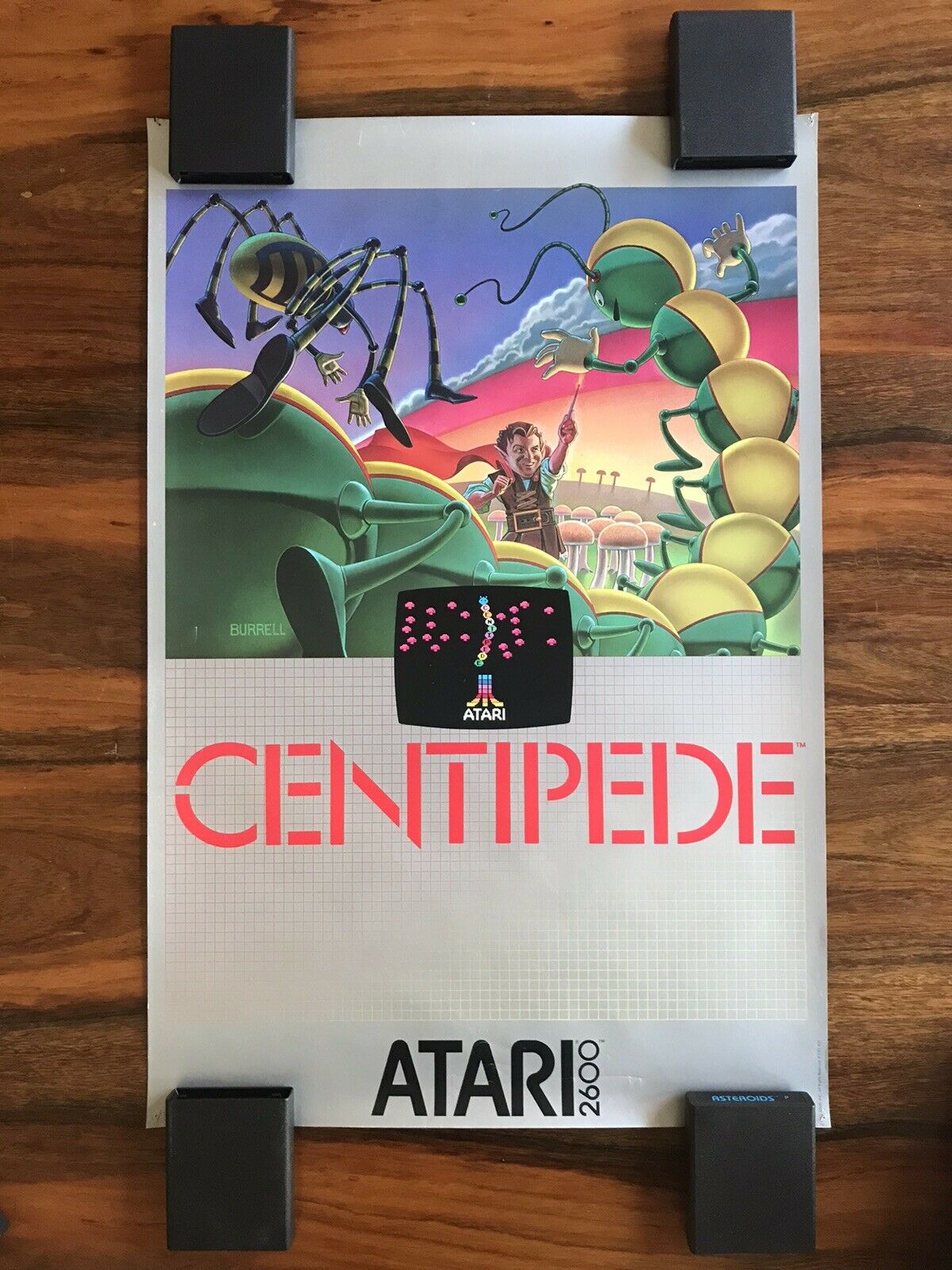 Centipede