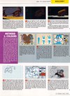 ST Format (Issue 34) - 33/180