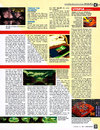 ST Format (Issue 47) - 77/108