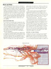 STart (Vol. 1 - No. 04) - 70/135