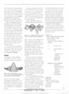 STart (Vol. 2 - No. 02) - 41/118