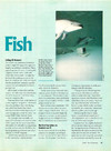 STart (Vol. 3 - No. 07) - 13/98