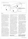STart (Vol. 4 - No. 12) - 21/92