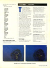 STart (Vol. 5 - No. 01) - 57/84