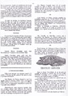Cénacle Newsquick (Numéro 9) - 3/8