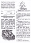 Cénacle Newsquick (Numéro 9) - 4/8