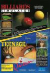 Billiards Simulator / Teenage Queen