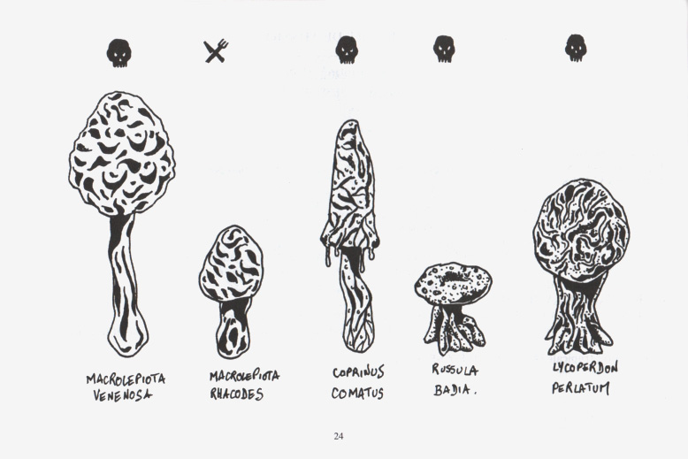 Instructions page 17
