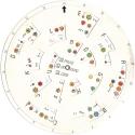 Another World Atari instructions