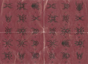 Arachnophobie Atari instructions