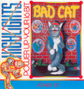 Bad Cat Atari disk scan