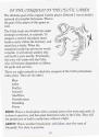 Castles Atari instructions