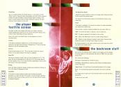 Championship Manager Italia '95 Atari instructions