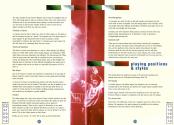 Championship Manager Italia '95 Atari instructions