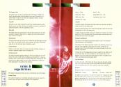 Championship Manager Italia '95 Atari instructions