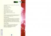 Championship Manager Italia '95 Atari instructions