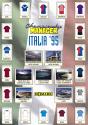 Championship Manager Italia '95 Atari instructions