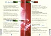 Championship Manager Italia '95 Atari instructions