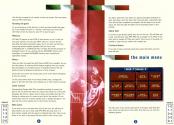 Championship Manager Italia '95 Atari instructions