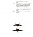 F-19 Stealth Fighter Atari instructions