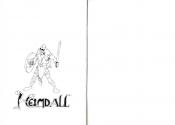 Heimdall Atari instructions