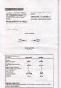 Indiana Jones and the Fate of Atlantis - The Action Game Atari instructions