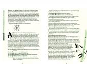 Moebius Atari instructions