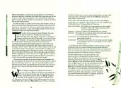 Moebius Atari instructions