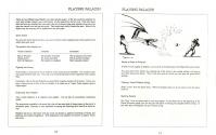 Paladin Atari instructions