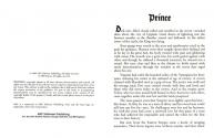 Prince Atari instructions