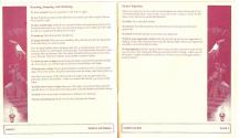 Prince of Persia Atari instructions