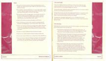 Prince of Persia Atari instructions