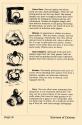 Ultima V - Warriors of Destiny Atari instructions