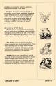 Ultima V - Warriors of Destiny Atari instructions