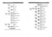UMS - The Universal Military Simulator Atari instructions