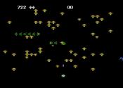 Centipede Trivia