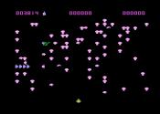 Centipede Trivia