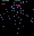 Centipede Trivia